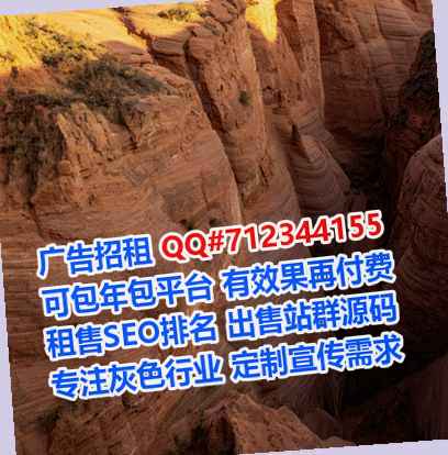 播州助孕翻译工作室
